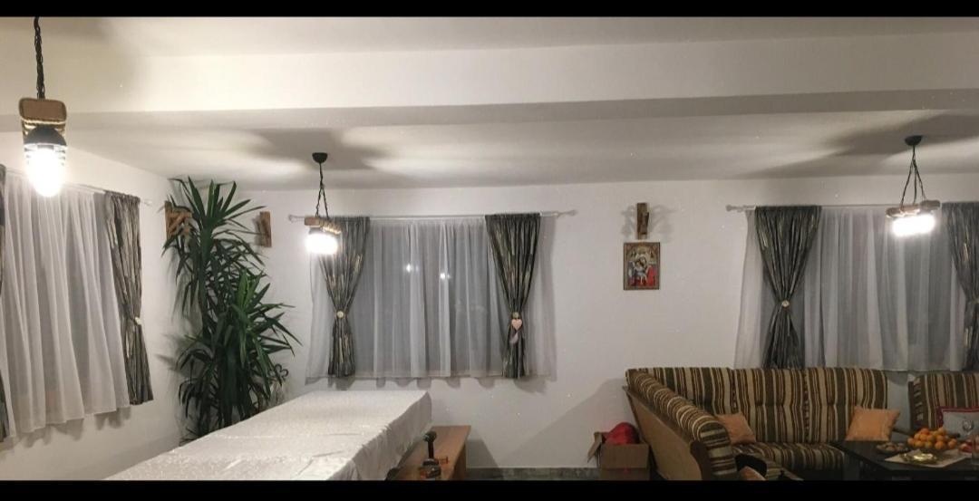 Hotel Vis Implinit à Cîrţişoara Extérieur photo