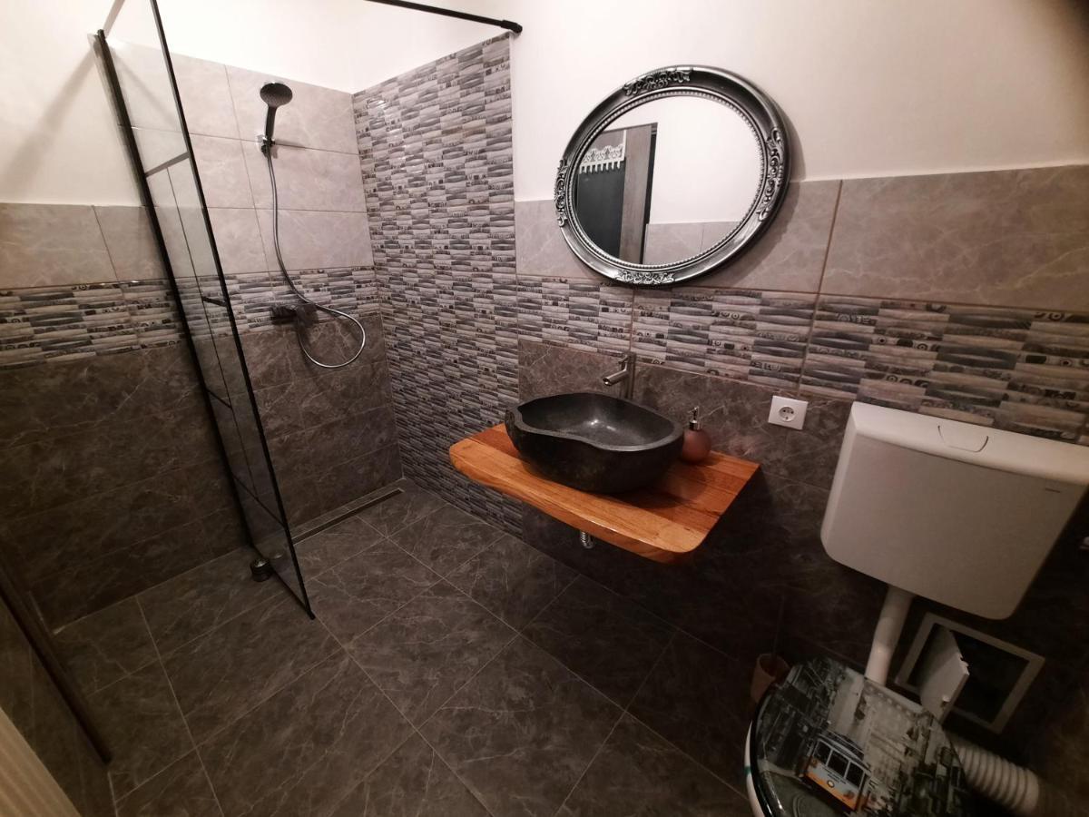 Hotel Vis Implinit à Cîrţişoara Extérieur photo
