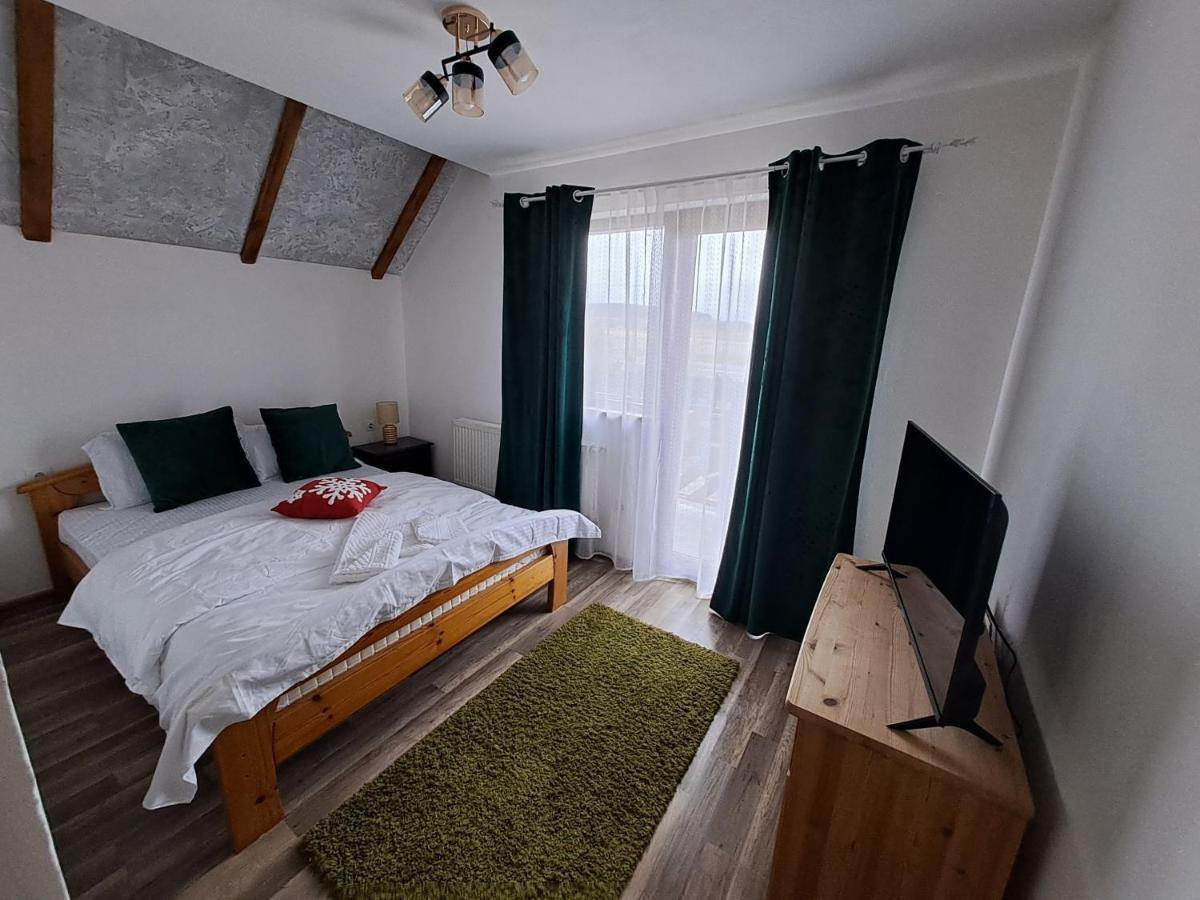 Hotel Vis Implinit à Cîrţişoara Extérieur photo