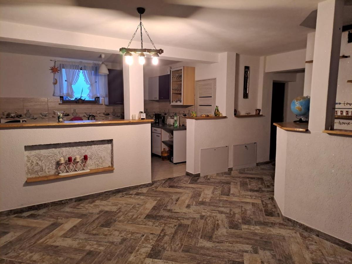 Hotel Vis Implinit à Cîrţişoara Extérieur photo