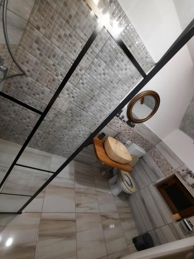 Hotel Vis Implinit à Cîrţişoara Extérieur photo