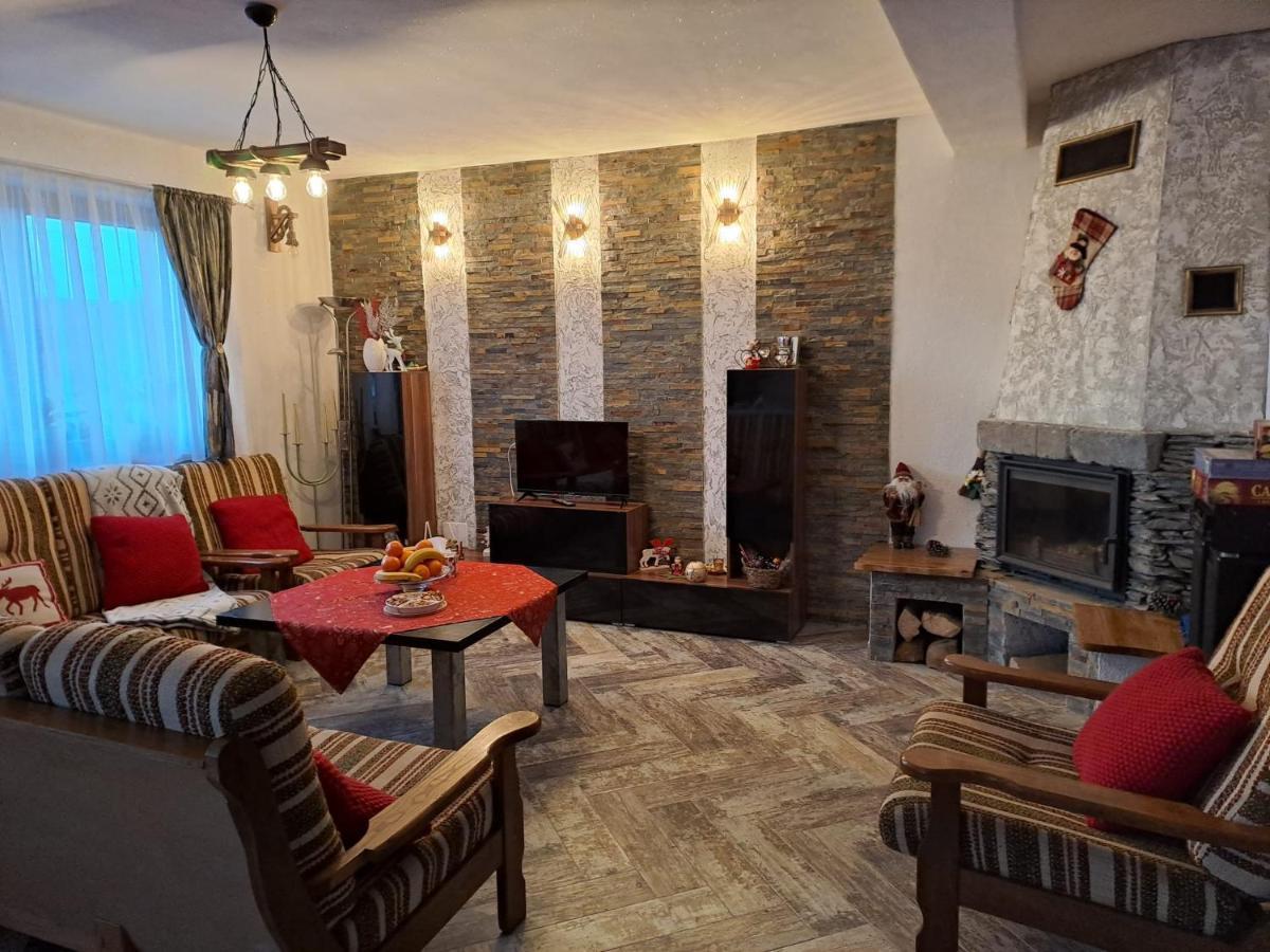 Hotel Vis Implinit à Cîrţişoara Extérieur photo