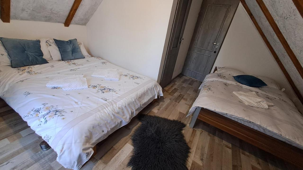 Hotel Vis Implinit à Cîrţişoara Extérieur photo