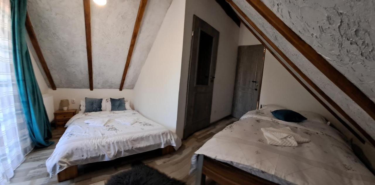 Hotel Vis Implinit à Cîrţişoara Extérieur photo