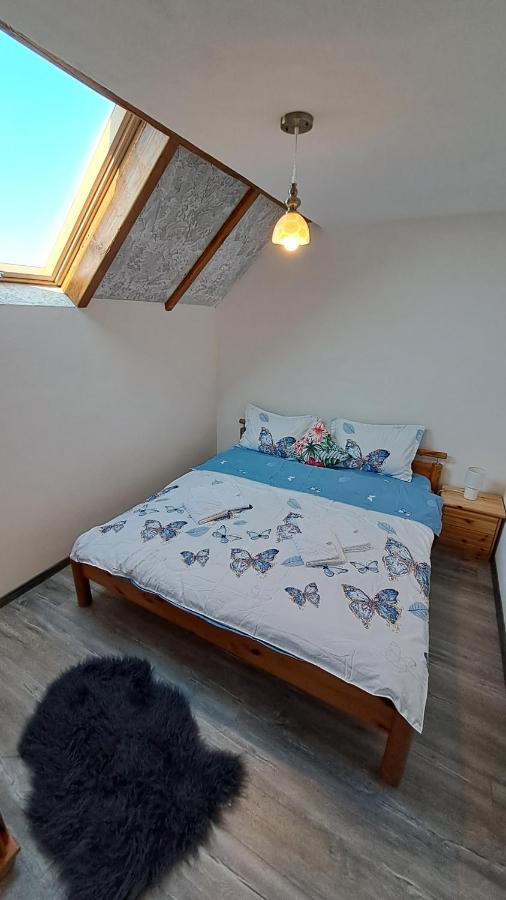 Hotel Vis Implinit à Cîrţişoara Extérieur photo