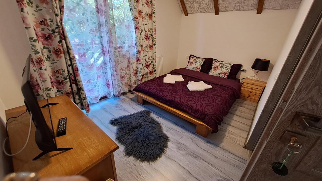 Hotel Vis Implinit à Cîrţişoara Extérieur photo