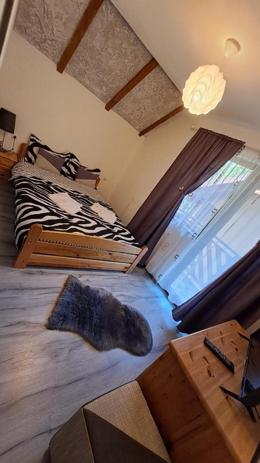 Hotel Vis Implinit à Cîrţişoara Extérieur photo