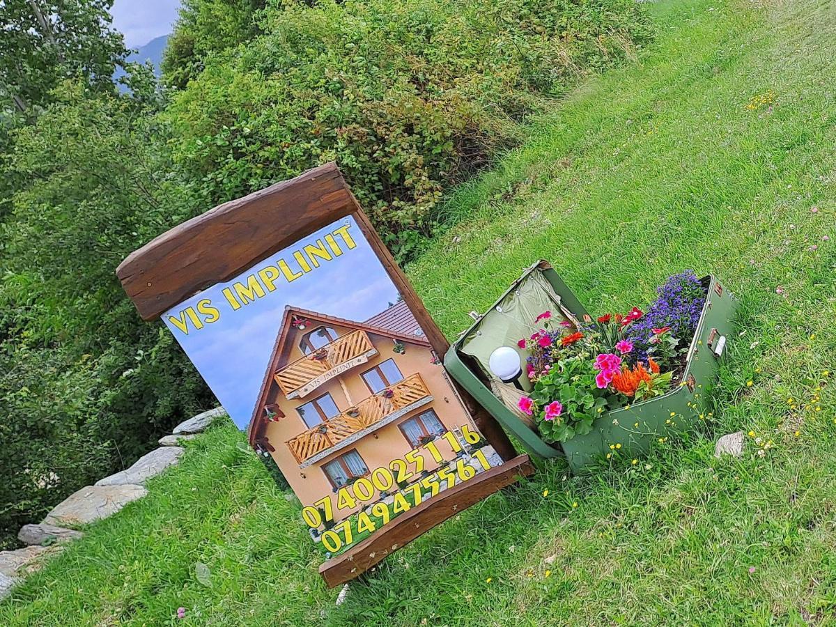 Hotel Vis Implinit à Cîrţişoara Extérieur photo