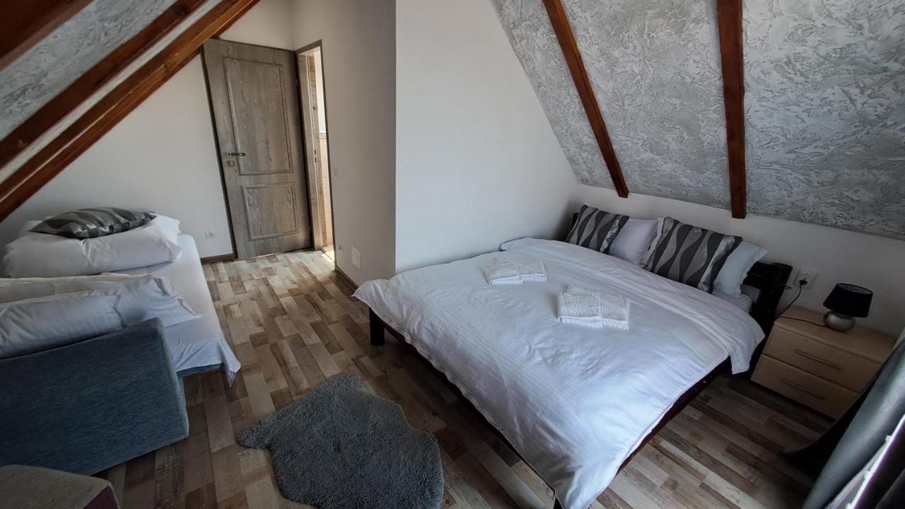 Hotel Vis Implinit à Cîrţişoara Extérieur photo
