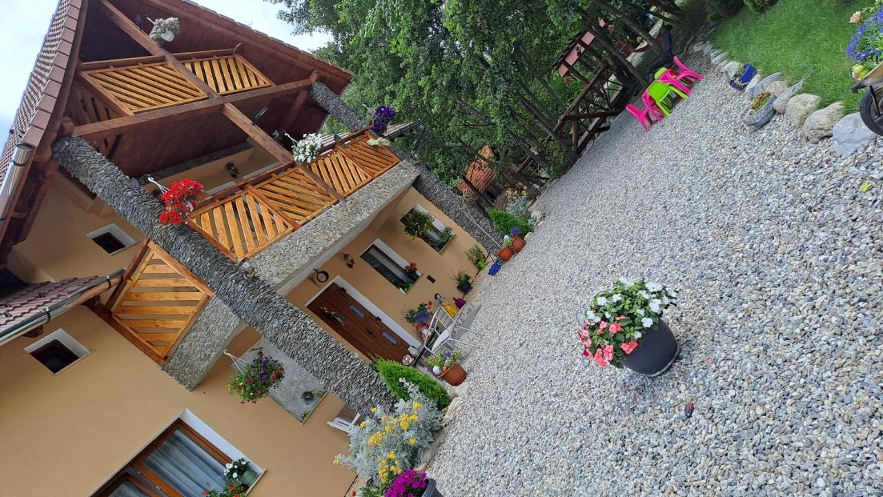 Hotel Vis Implinit à Cîrţişoara Extérieur photo