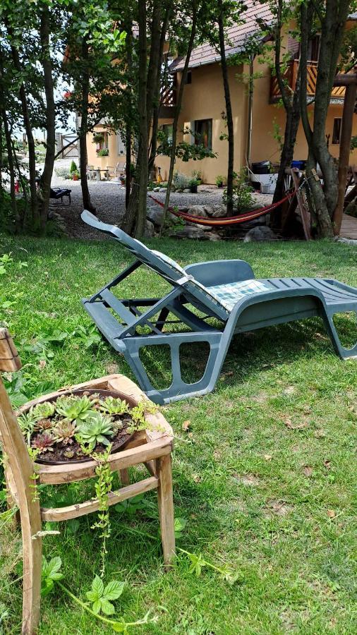 Hotel Vis Implinit à Cîrţişoara Extérieur photo