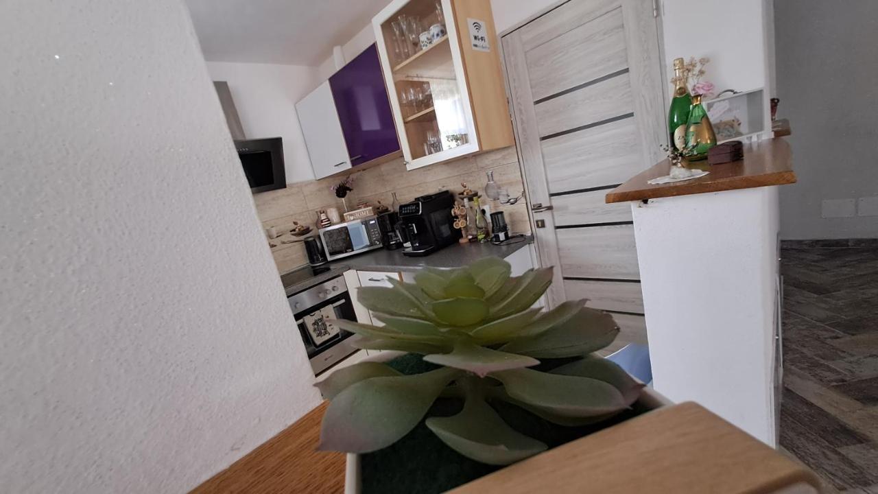 Hotel Vis Implinit à Cîrţişoara Extérieur photo