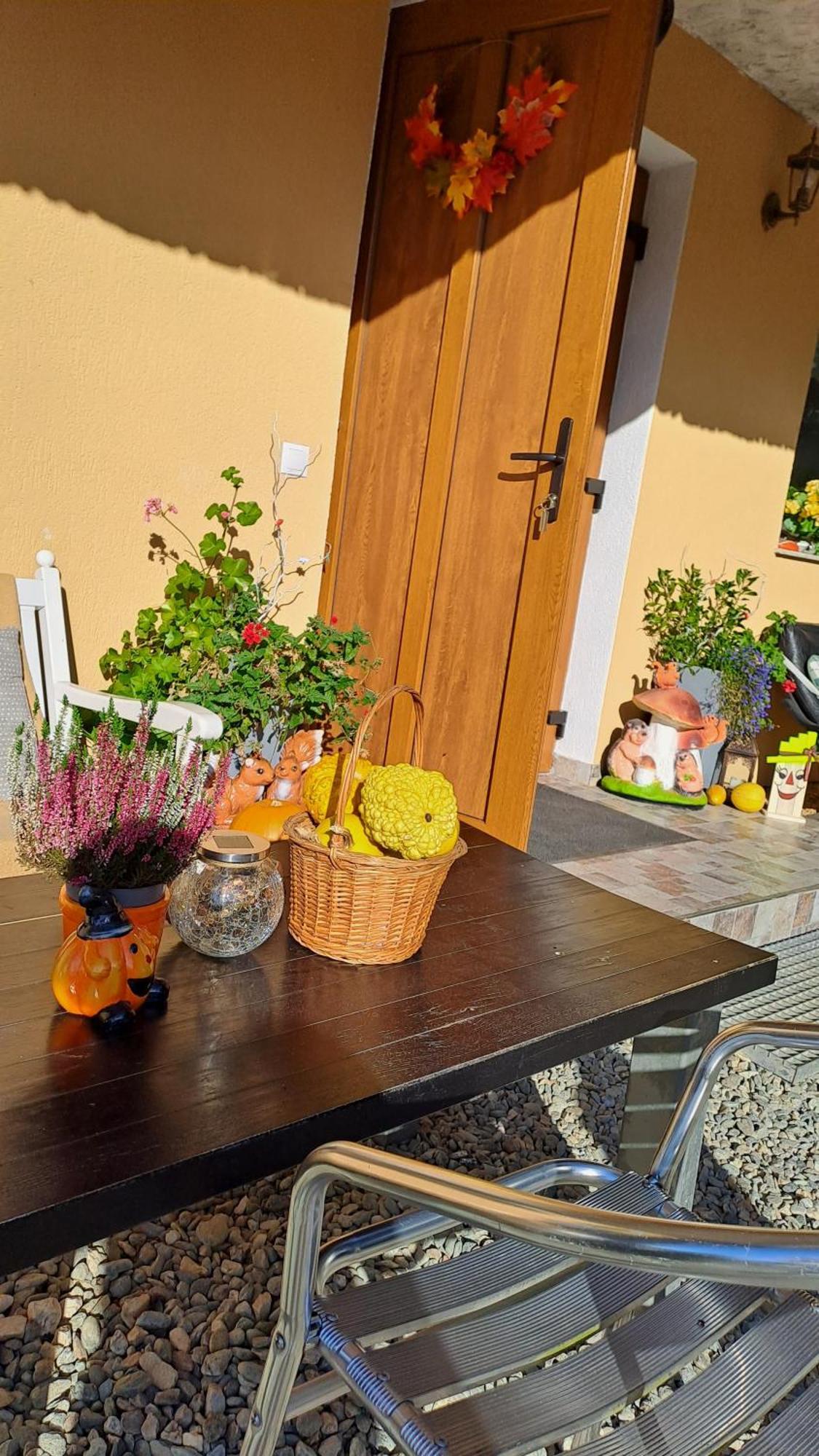Hotel Vis Implinit à Cîrţişoara Extérieur photo