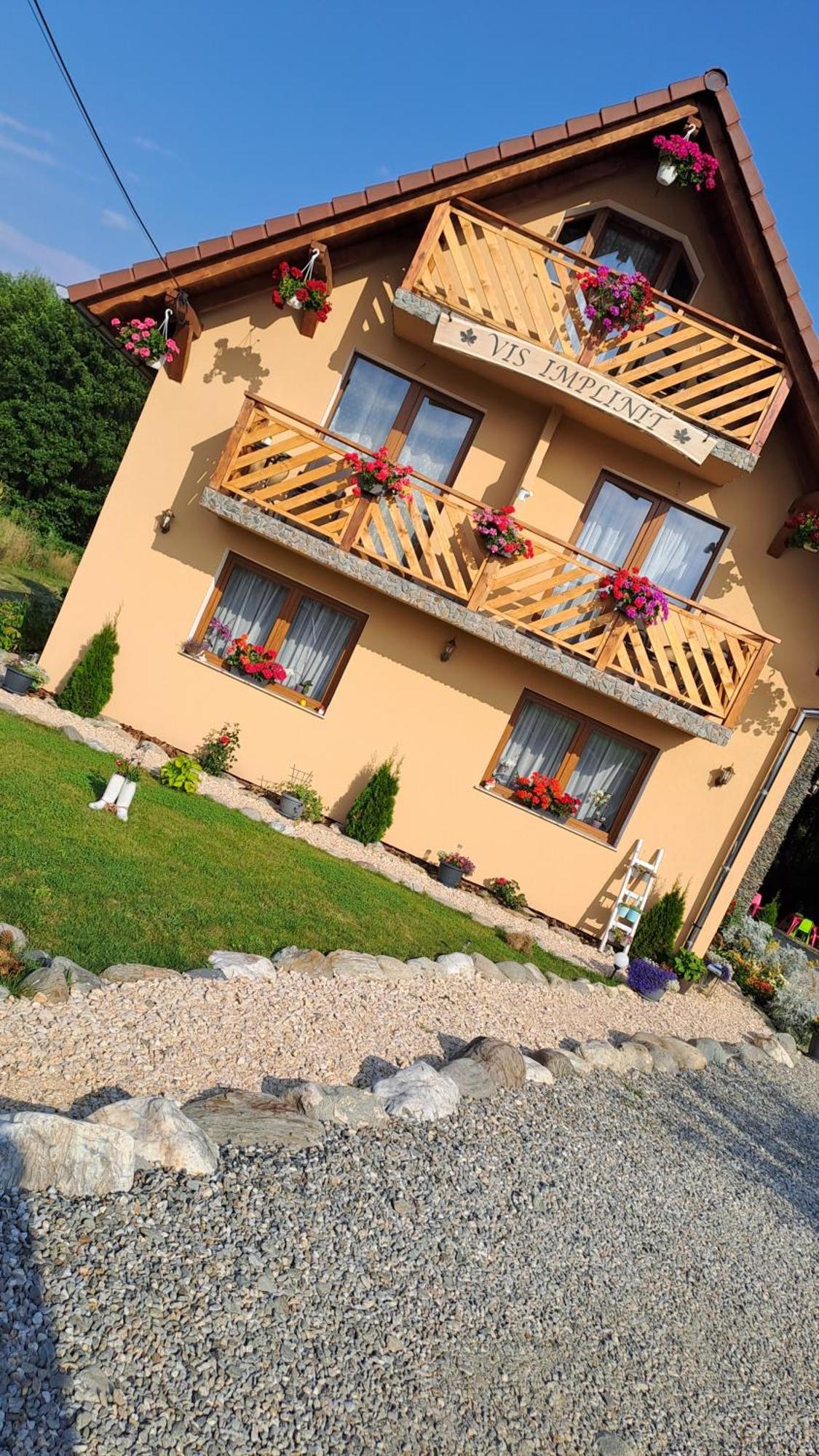 Hotel Vis Implinit à Cîrţişoara Extérieur photo