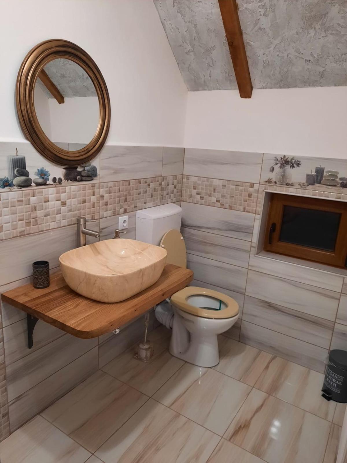 Hotel Vis Implinit à Cîrţişoara Extérieur photo