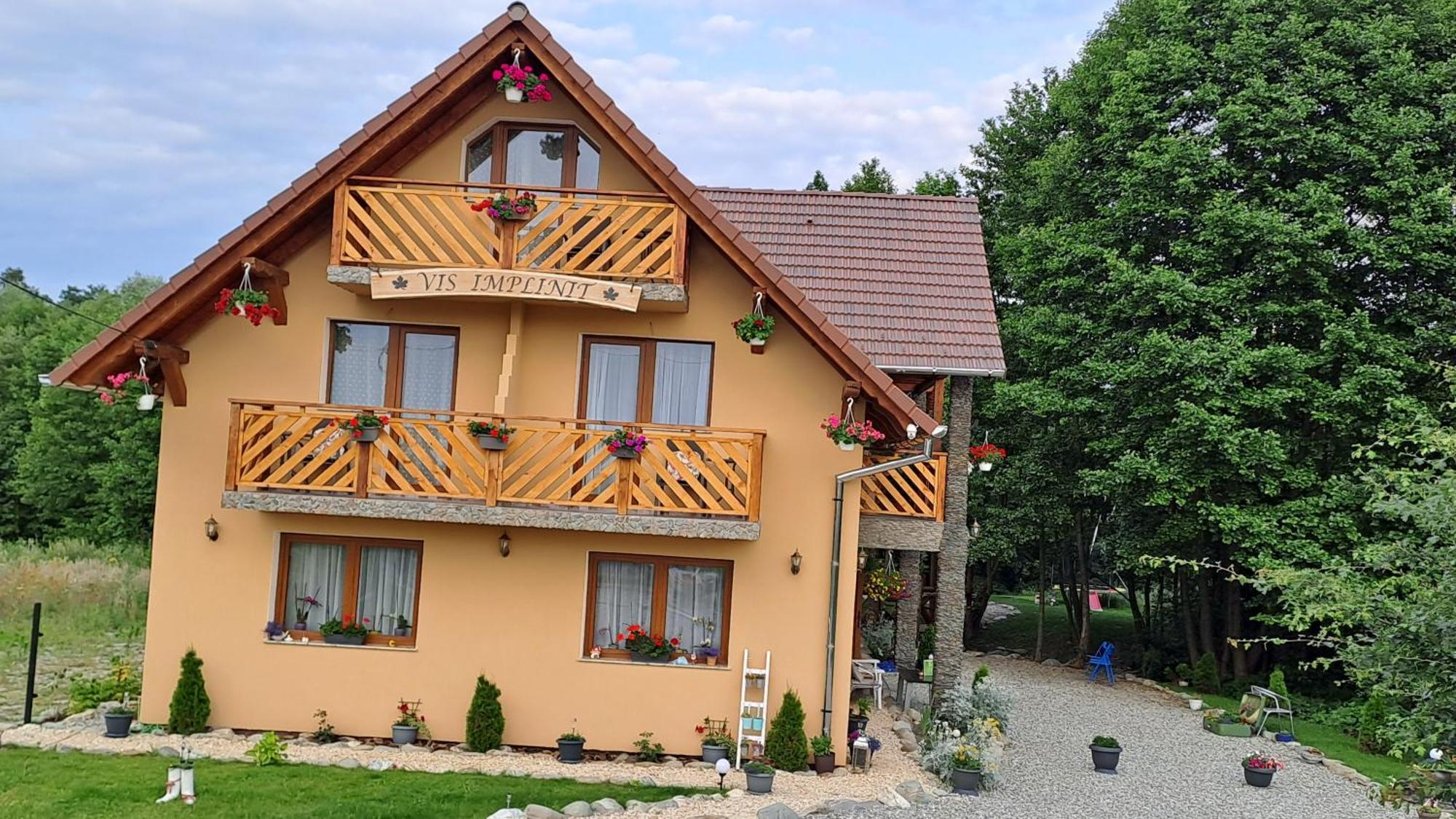 Hotel Vis Implinit à Cîrţişoara Extérieur photo