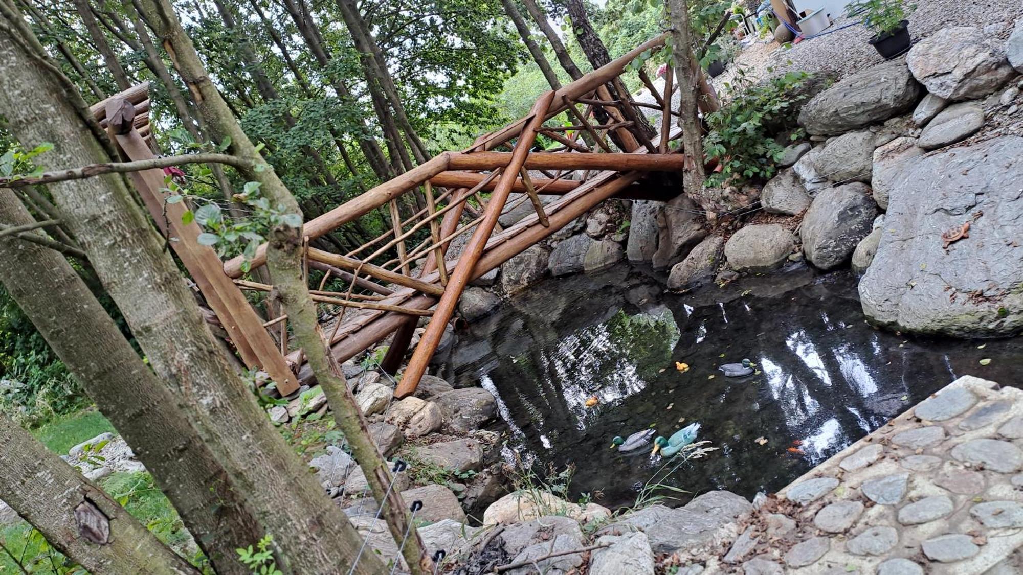 Hotel Vis Implinit à Cîrţişoara Extérieur photo