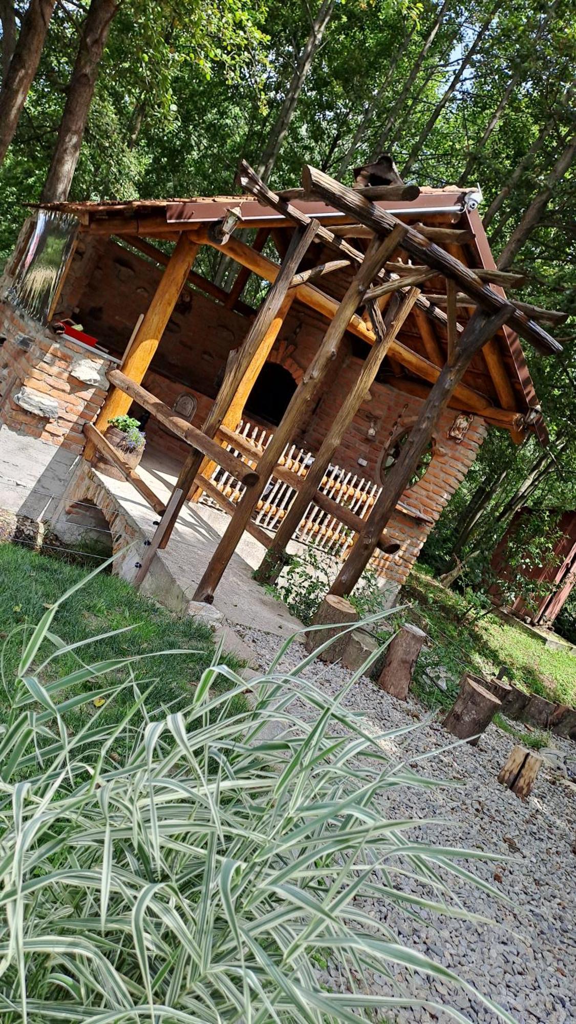 Hotel Vis Implinit à Cîrţişoara Extérieur photo